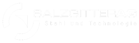 Salzgitter logo image