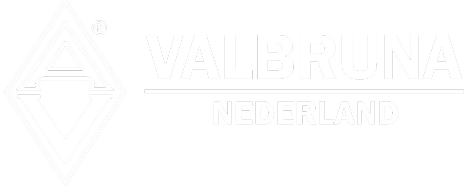 Valbruna logo image